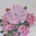 Wild Roses